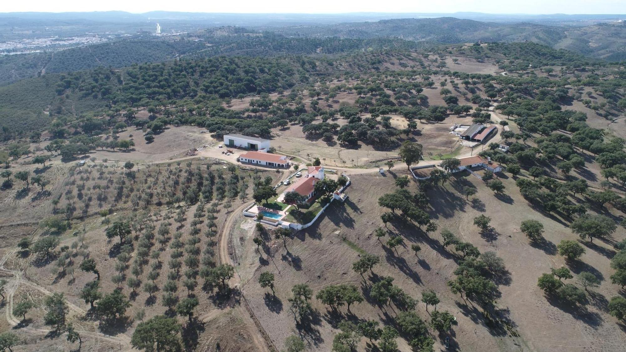 Herdade Vale De Cabras Portel Extérieur photo