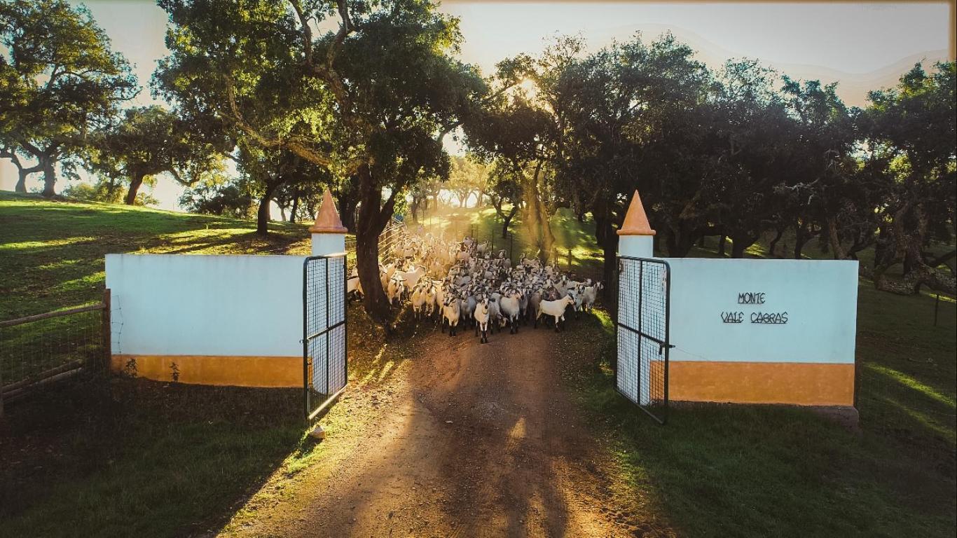 Herdade Vale De Cabras Portel Extérieur photo