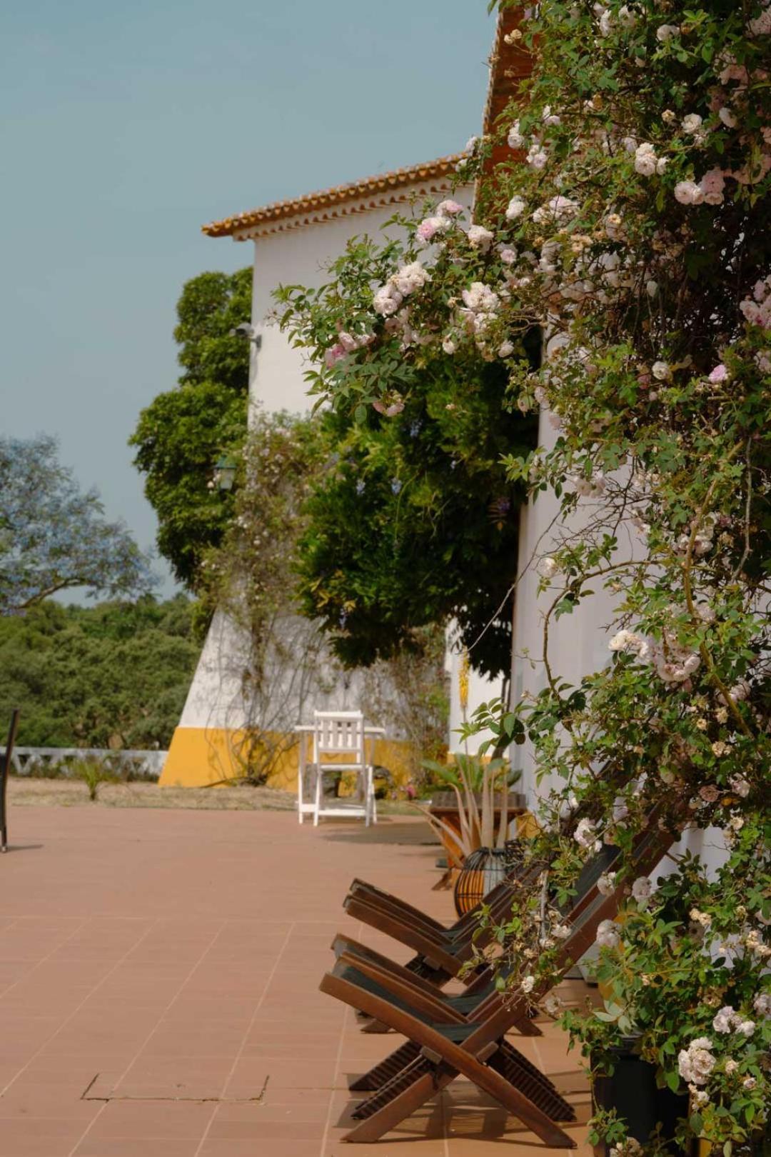 Herdade Vale De Cabras Portel Extérieur photo